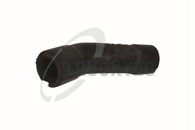 Žarna, karterio alsuoklis