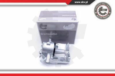 ESEN SKV 50SKV321 Тормозной суппорт  для PEUGEOT 406 купе (8C) 2.0 16V