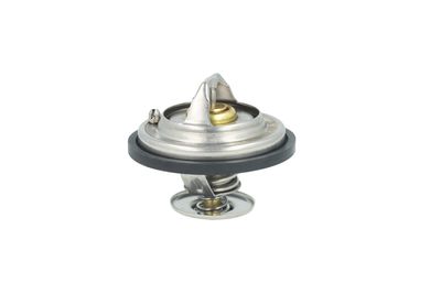 TERMOSTAT LICHID RACIRE NRF 725478 16