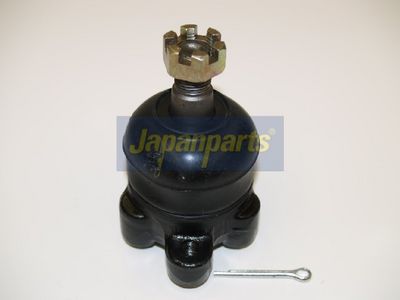 JAPANPARTS Šarnyras / girgždukas