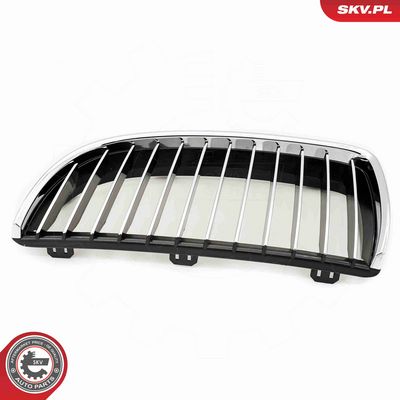 GRILA RADIATOR ESEN SKV 66SKV088 6