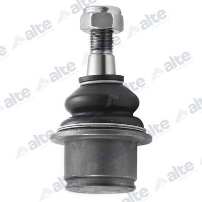 ARTICULATIE SARCINA/GHIDARE