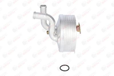 RADIATOR ULEI ULEI MOTOR BIRTH 80138 4