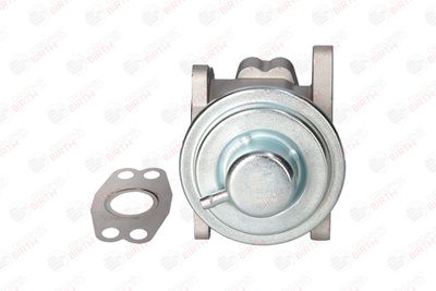 SUPAPA EGR BIRTH 90074 3