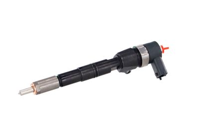 INJECTOR REMANTE 002003001391R 7