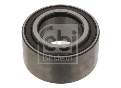 Wheel Bearing 31062