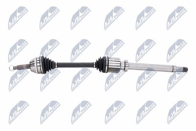 PLANETARA NTY NPWFR063 25