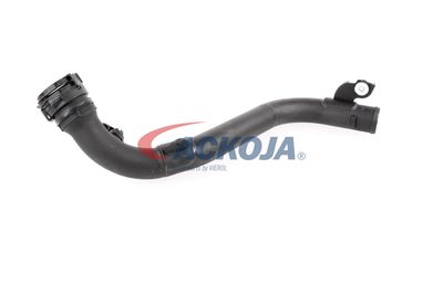 FURTUN EAR SUPRAALIMENTARE ACKOJA A380387 32