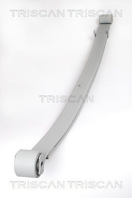 TRISCAN Federnpaket