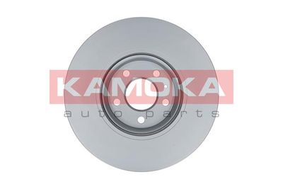 Brake Disc 103309