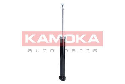 Shock Absorber 2000924