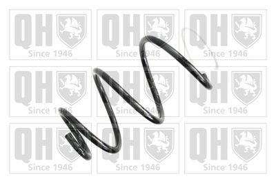 QUINTON HAZELL QCS6730 Пружина подвески  для RENAULT CLIO (Рено Клио)