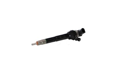 INJECTOR REMANTE 002003001489R 63