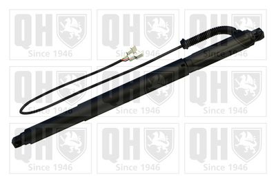 MOTOR ELECTRIC HAION