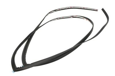 Weerstrip Voor past: HYUNDAI TUCSON 06.15-12.20