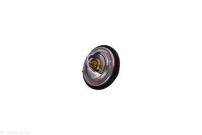 TERMOSTAT LICHID RACIRE AUTOMEGA 160014510 1