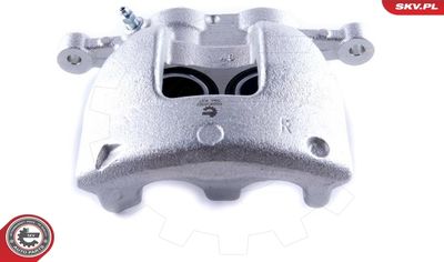 Brake Caliper 50SKV022