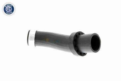 FURTUN EAR SUPRAALIMENTARE VAICO V201619 2