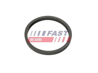 Těsnicí kroužek, chladič oleje FAST FT49924