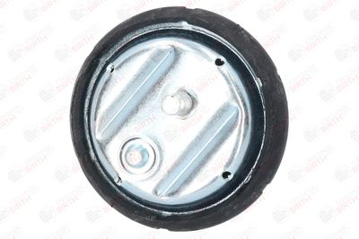 SUPORT MOTOR BIRTH 50121 3