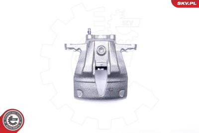 Brake Caliper 42SKV232