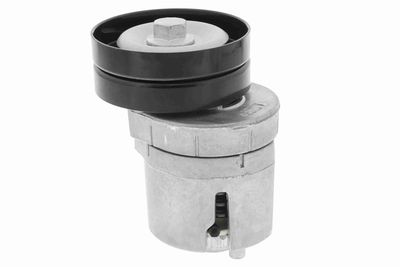 INTINZATOR CUREA CUREA DISTRIBUTIE