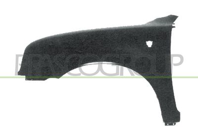 Крыло PRASCO DS0053004 для NISSAN MICRA