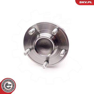 SET RULMENT ROATA ESEN SKV 29SKV079 3