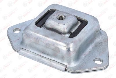 BUCSA PUNTE BIRTH 53920 2