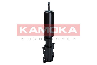 Shock Absorber 2001068