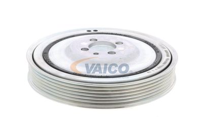 SET FULIE ARBORE COTIT VAICO V240865 15