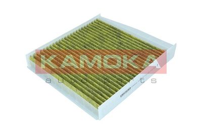 Filter, cabin air 6080020