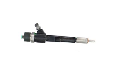 INJECTOR REMANTE 002003002244R 42