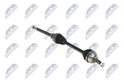 PLANETARA NTY NPWPE124 12