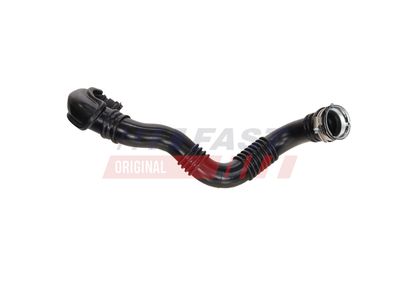 FURTUN EAR SUPRAALIMENTARE FAST FT01075 12