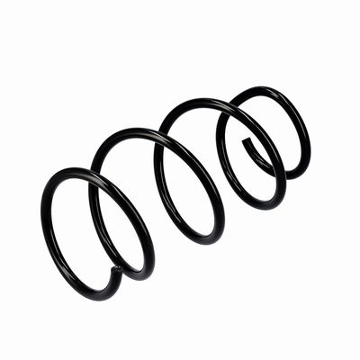 ARC SPIRAL EIBACH R10839 16