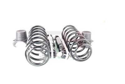 SET SUSPENSIE ARCURI ELICOIDALE / AMORTIZOARE