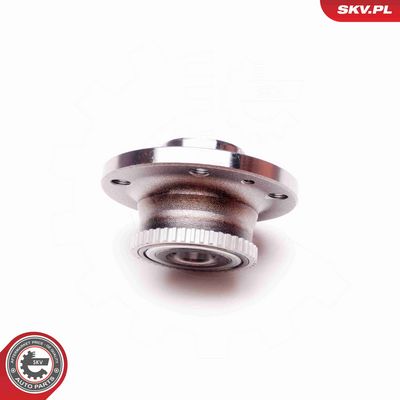 SET RULMENT ROATA ESEN SKV 29SKV160 2