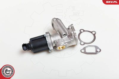 EGR Valve 14SKV039