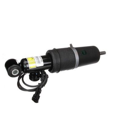 LUFTFEDERBEIN Arnott AS2163 39