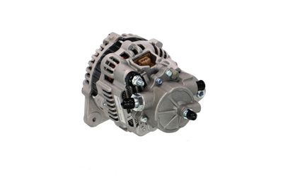 GENERATOR / ALTERNATOR REMANTE 011003000175R 13