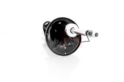 AMORTIZOR GH GH354866H 21