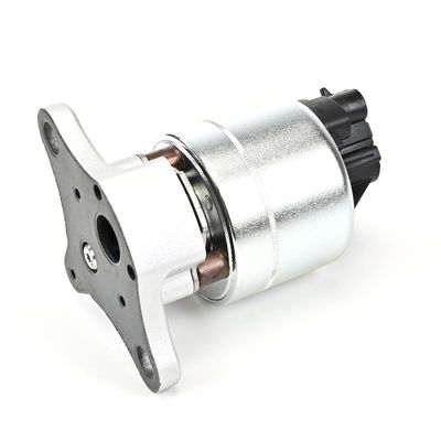 SUPAPA EGR DELPHI EG1000412B1 11