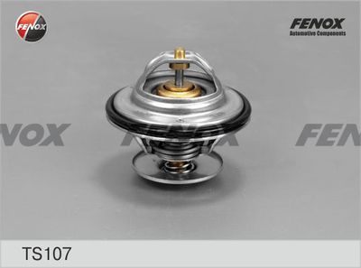 FENOX TS107 Термостат  для JAGUAR XK (Ягуар Xk)