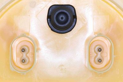 SISTEM ALIMENTARE CU COMBUSTIBIL VEMO V20090459 1