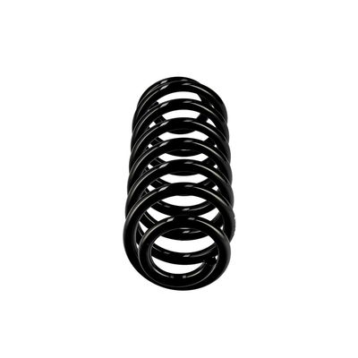 ARC SPIRAL EIBACH R10673 1