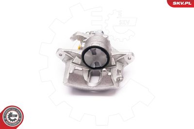 Brake Caliper 23SKV081