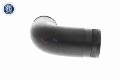 LADELUFTSCHLAUCH VAICO V102887 7