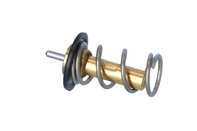TERMOSTAT LICHID RACIRE NRF 725069 6