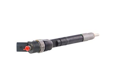 INJECTOR REMANTE 002003001099R 35